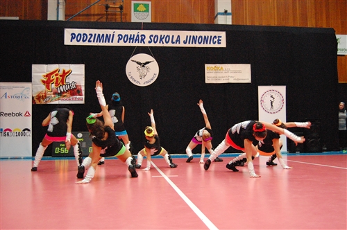 Obrázek v galerii