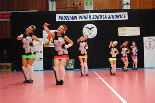 Obrázek v galerii