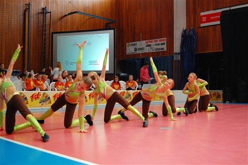 Obrázek v galerii