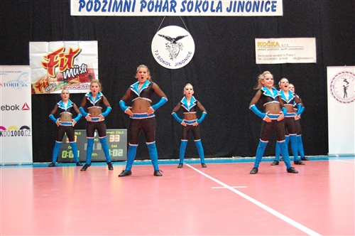 Obrázek v galerii