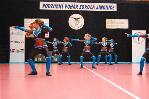 Obrázek v galerii