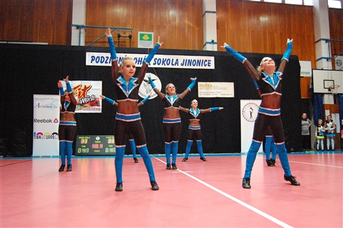 Obrázek v galerii