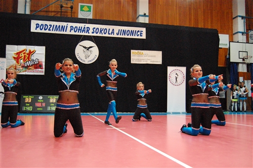 Obrázek v galerii