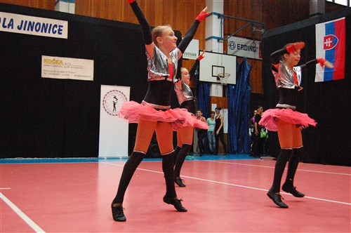 Obrázek v galerii