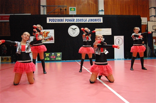 Obrázek v galerii