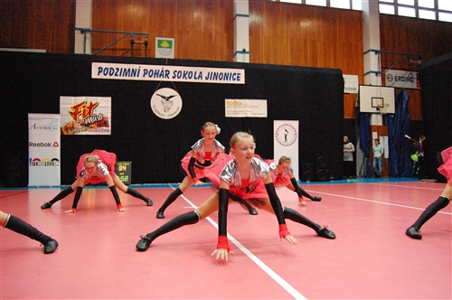 Obrázek v galerii