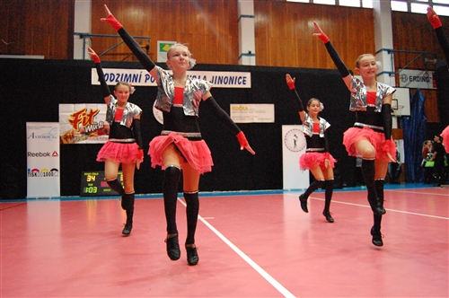 Obrázek v galerii