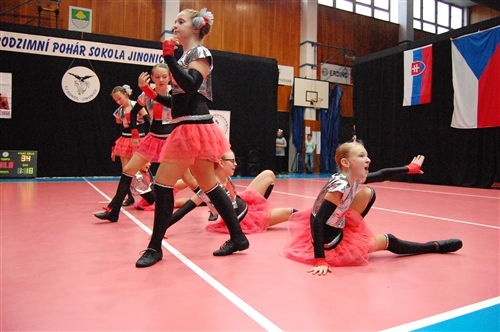 Obrázek v galerii