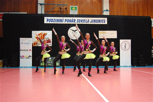 Obrázek v galerii