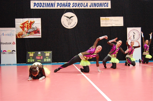 Obrázek v galerii