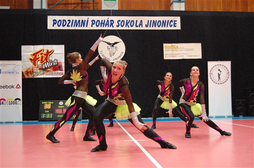Obrázek v galerii