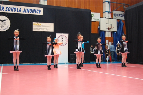 Obrázek v galerii