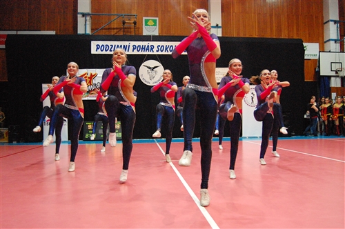Obrázek v galerii