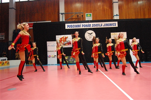 Obrázek v galerii