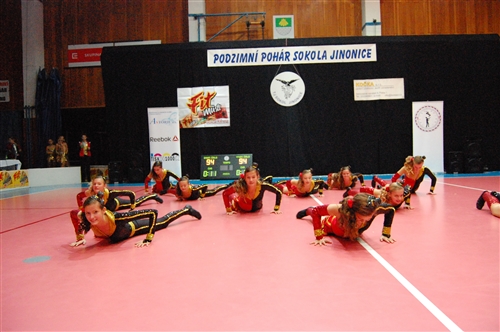 Obrázek v galerii
