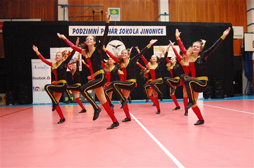 Obrázek v galerii