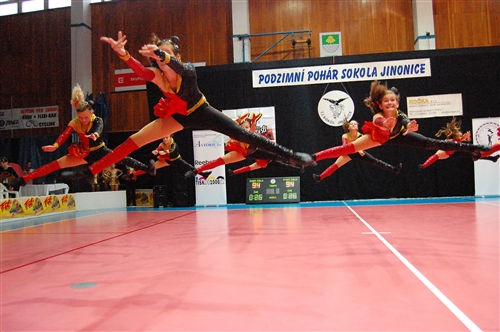 Obrázek v galerii
