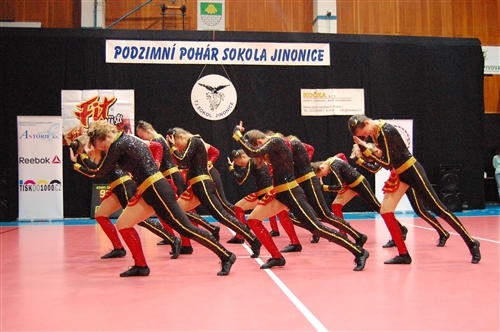 Obrázek v galerii