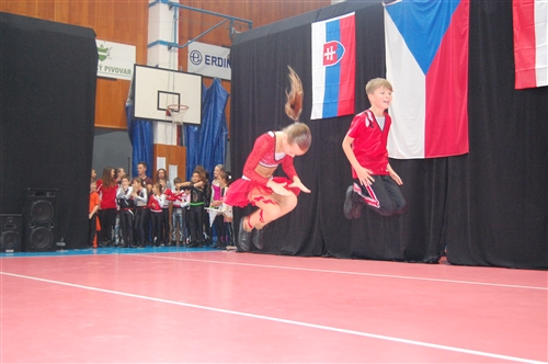 Obrázek v galerii