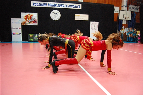 Obrázek v galerii