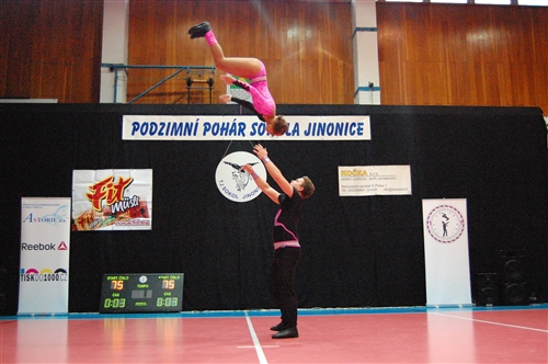 Obrázek v galerii