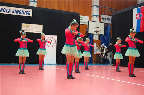 Obrázek v galerii