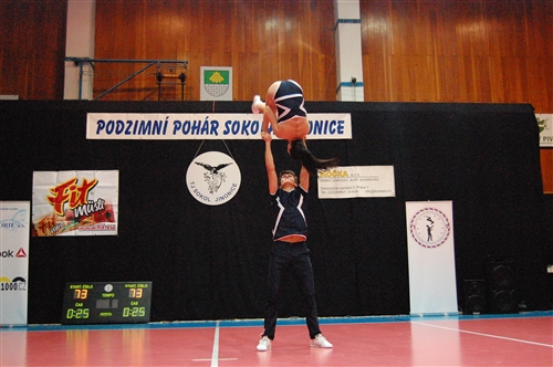 Obrázek v galerii
