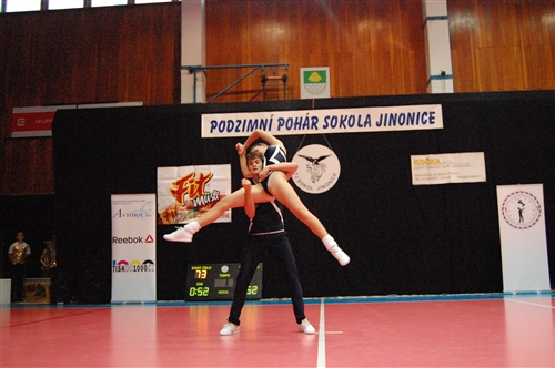 Obrázek v galerii