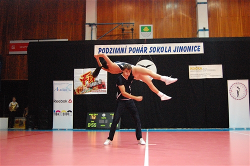 Obrázek v galerii