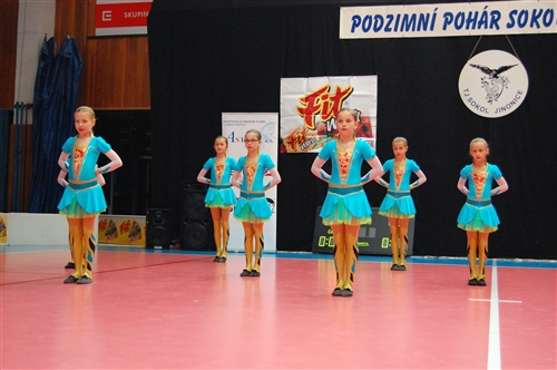 Obrázek v galerii