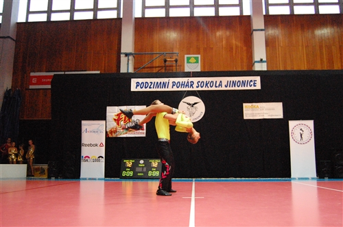 Obrázek v galerii