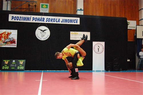 Obrázek v galerii