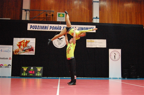 Obrázek v galerii