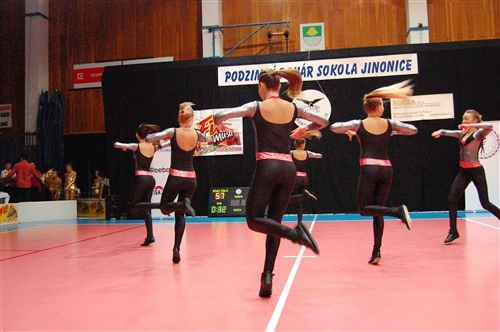 Obrázek v galerii