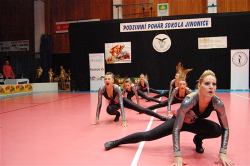 Obrázek v galerii