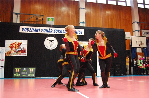 Obrázek v galerii