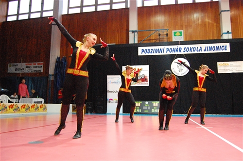 Obrázek v galerii