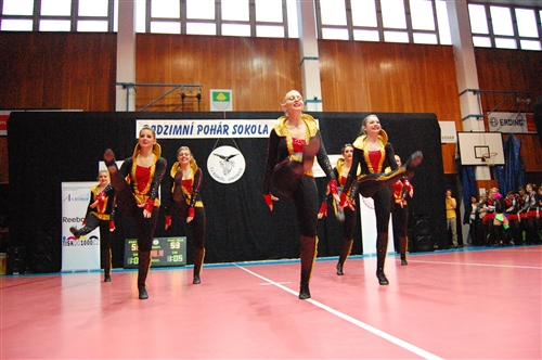 Obrázek v galerii