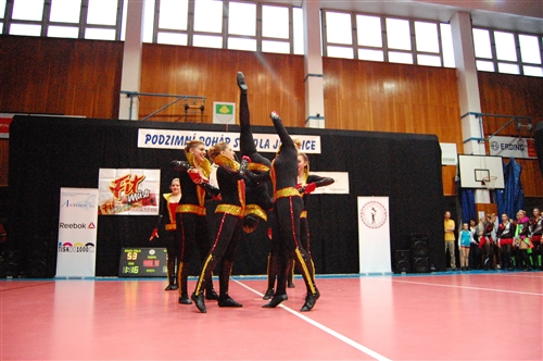 Obrázek v galerii