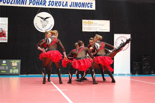 Obrázek v galerii