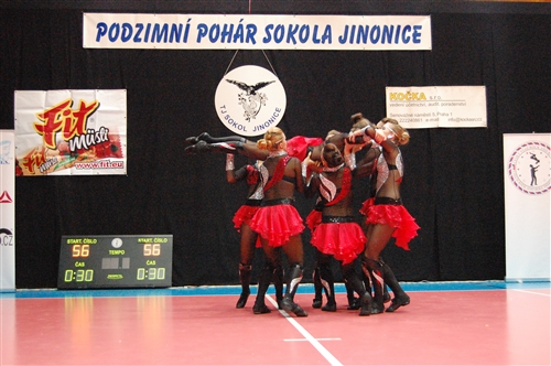 Obrázek v galerii