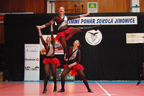 Obrázek v galerii