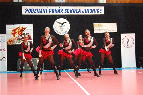 Obrázek v galerii