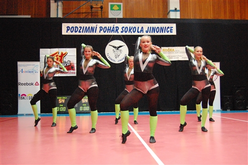 Obrázek v galerii