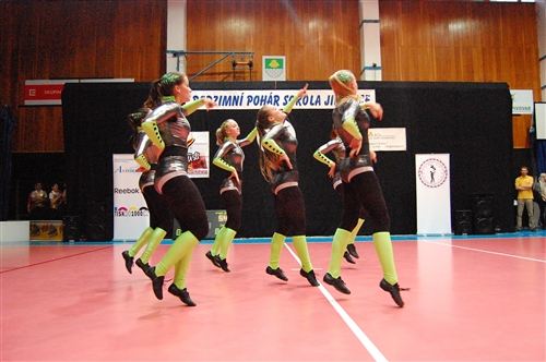 Obrázek v galerii