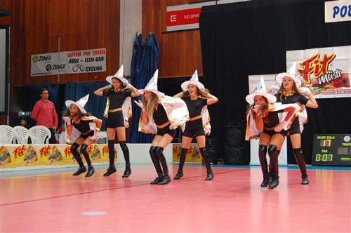 Obrázek v galerii
