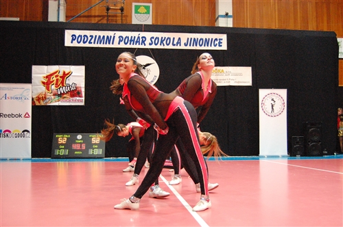 Obrázek v galerii