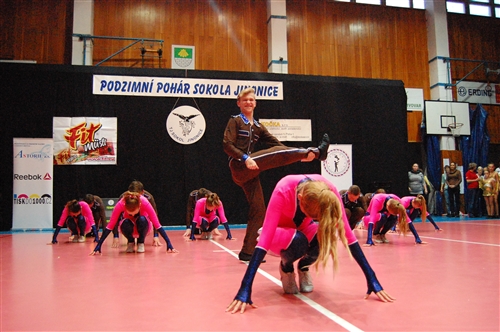 Obrázek v galerii