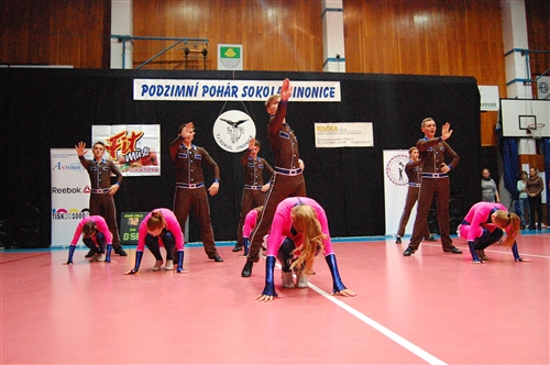 Obrázek v galerii