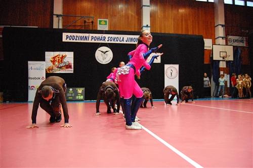 Obrázek v galerii